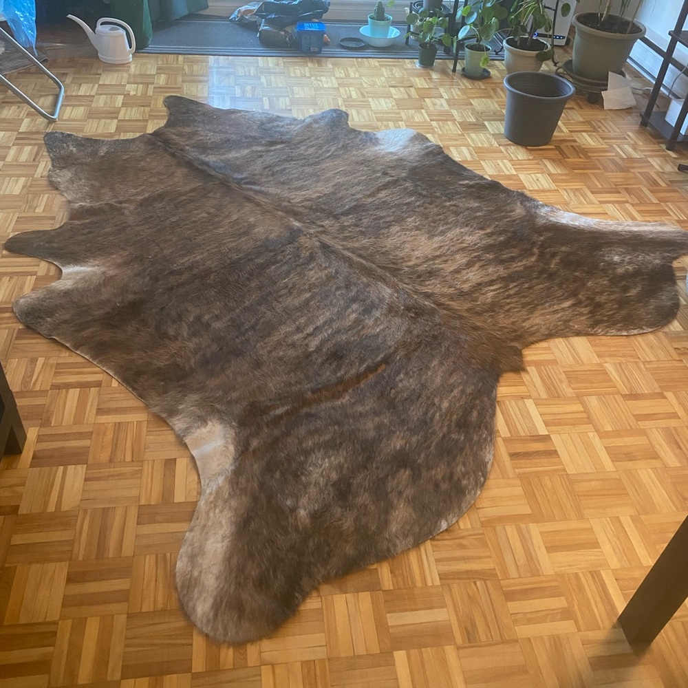 Big Brazilian Cowhide